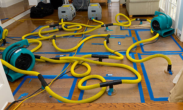 Professional Water Extraction technician working in Woodland Park, CO